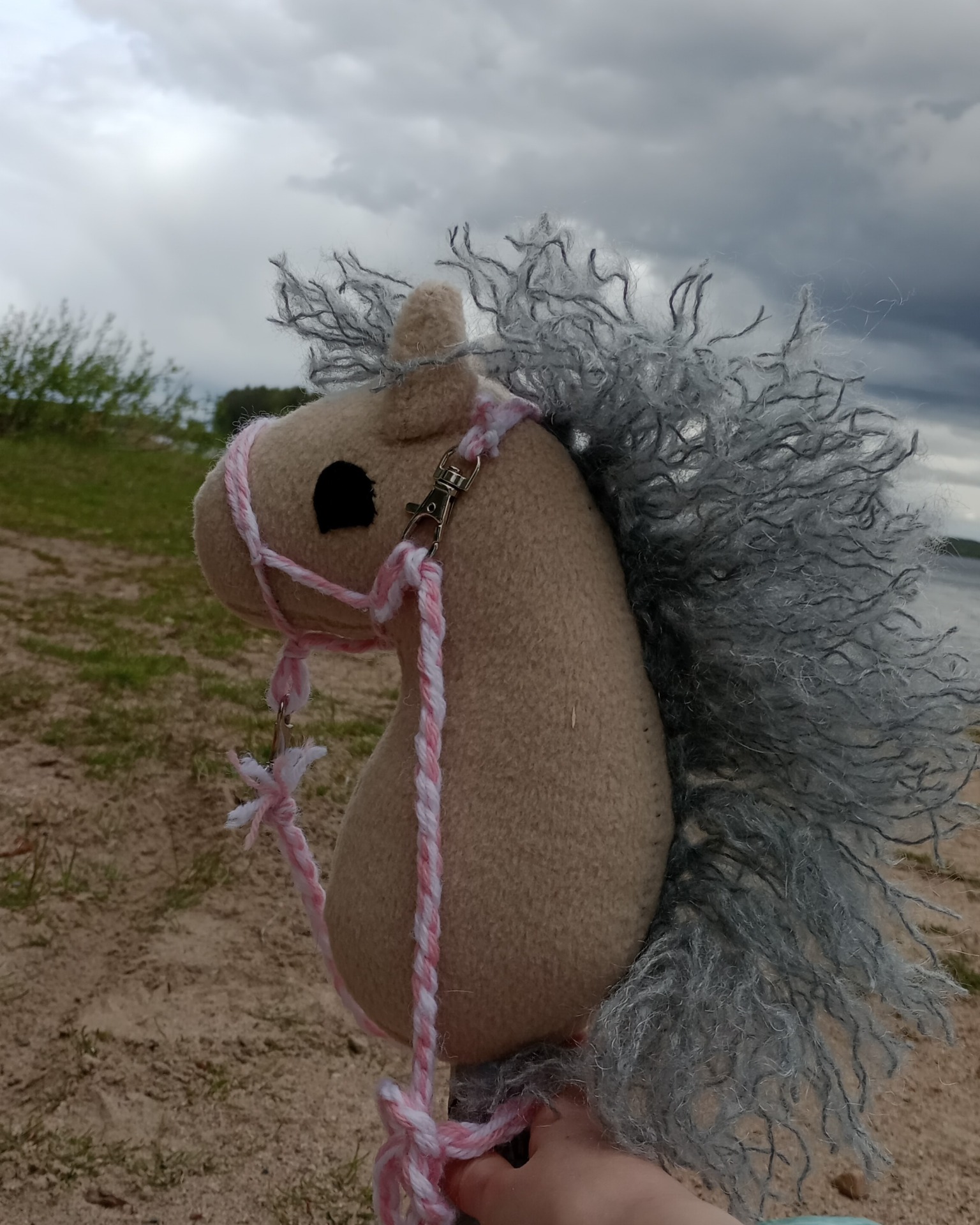 pikkuponi ©Esteri
